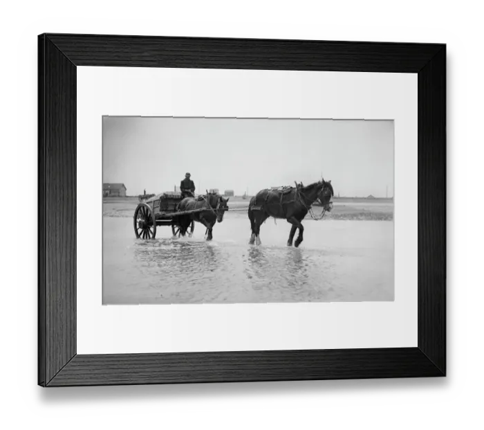 Framed Print : Shoreham harbour BB060001