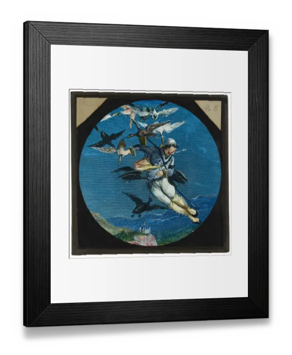 Framed Print : Amazing flying machines CVS01_01_005