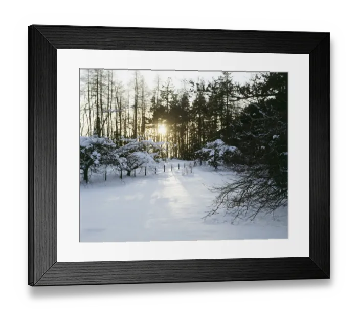 Framed Print : Belsay Gardens, snow scene K910153 Framed Print : Belsay Gardens, snow scene K910153