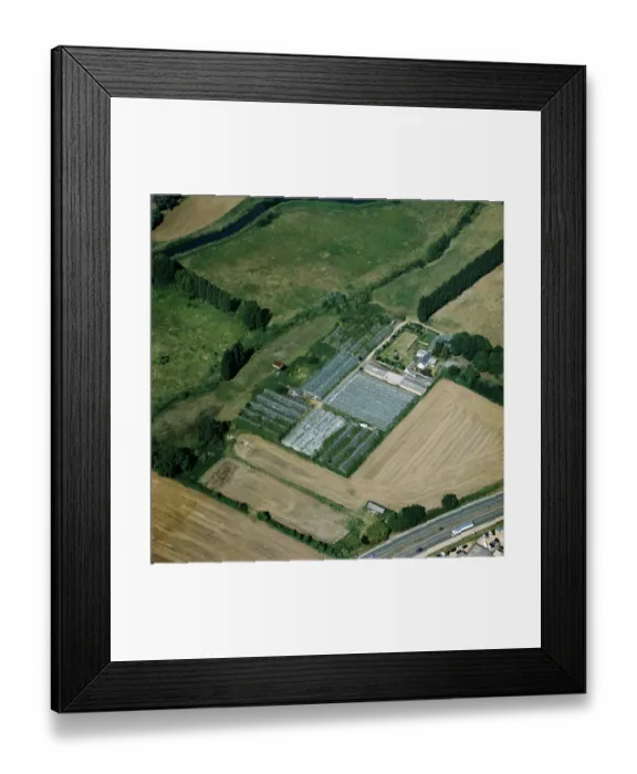 Framed Print : Market garden 24032_13 Framed Print : Market garden 24032_13
