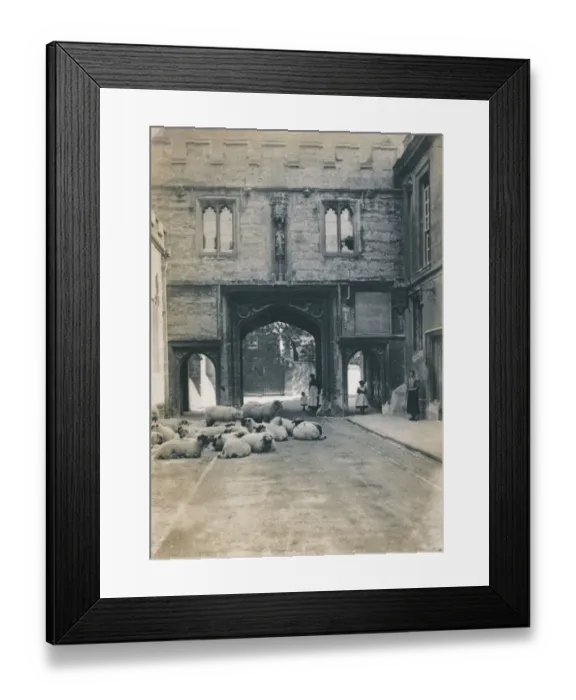 Framed Print : Gateway with sheep OP28723