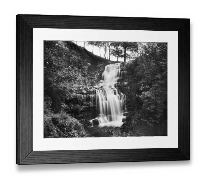 Framed Print : Scaleber Force CC025336