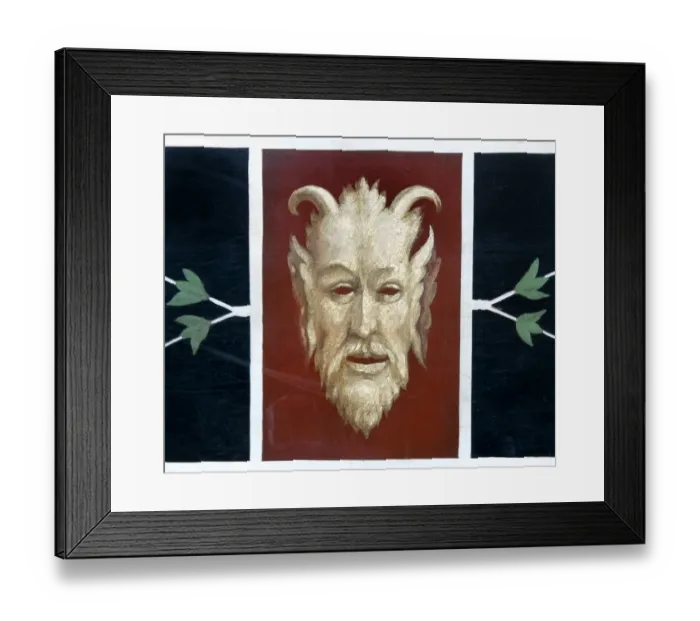 Framed Print : Devil DP087997