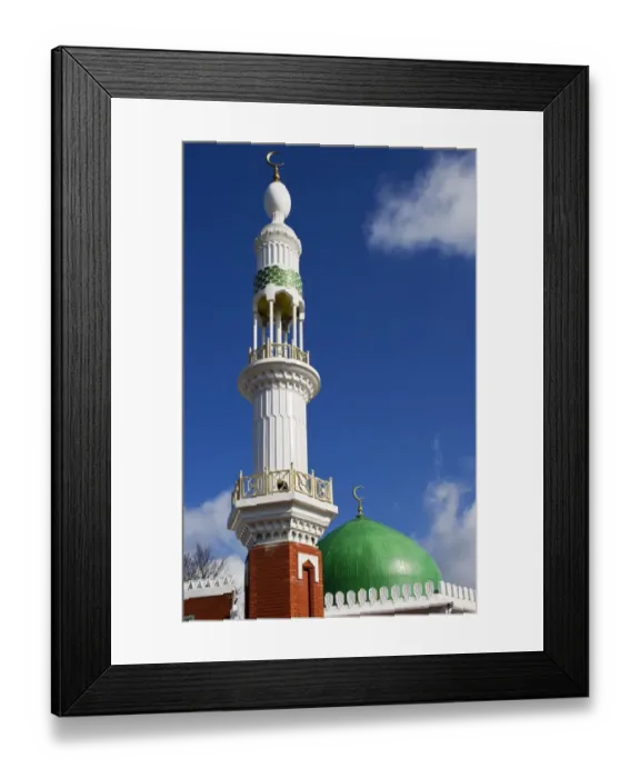 Framed Print : Minaret and dome DP148072