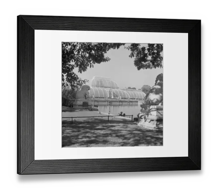 Framed Print : Royal Botanic Gardens, London a064156