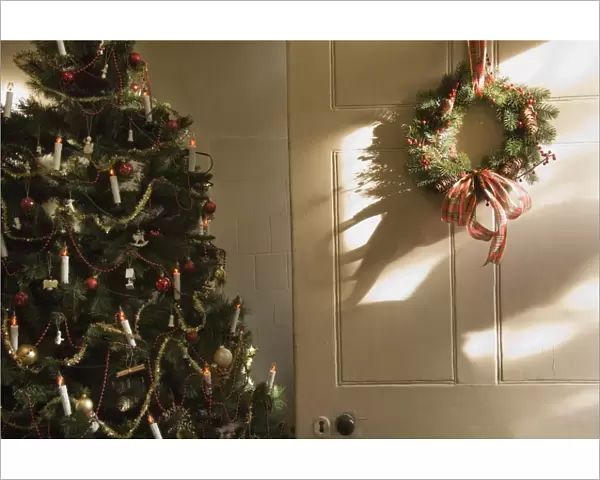 Christmas tree and Christmas wreath N071719