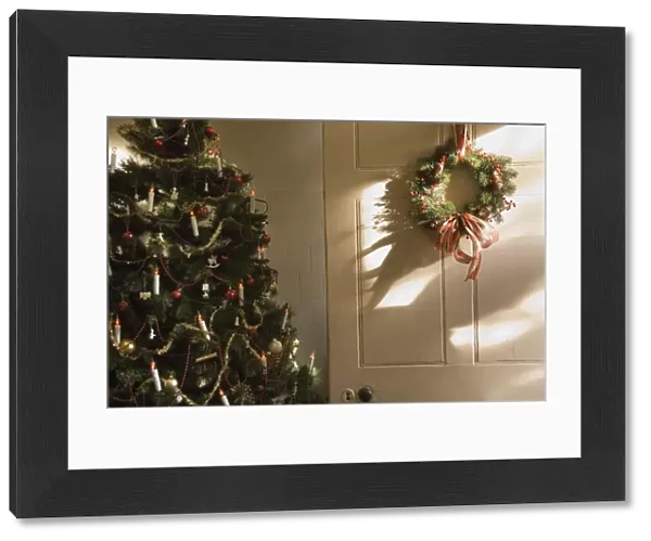Christmas tree and Christmas wreath N071719