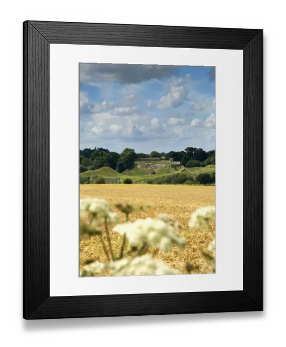 Framed Print : Castle Acre Castle N071727