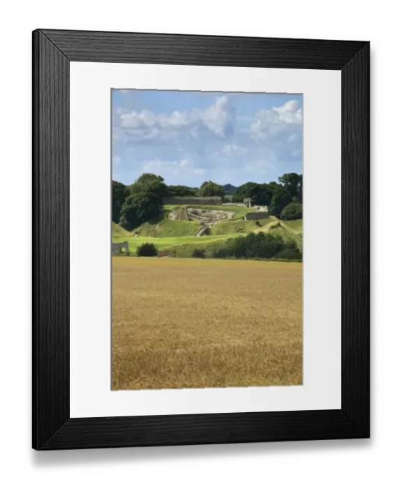 Framed Print : Castle Acre Castle N071728