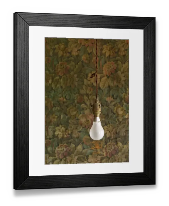 Framed Print : Light bulb, J. W. Evans N080197