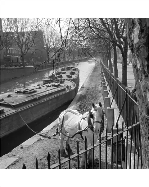 Horse and canal barge a064520