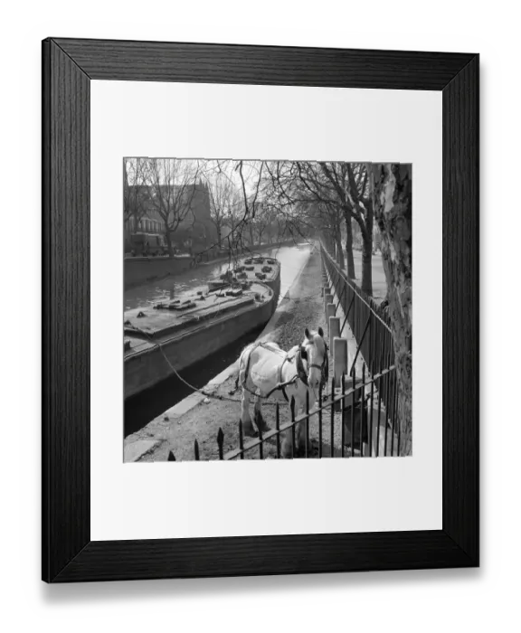 Framed Print : Horse and canal barge a064520 Framed Print : Horse and canal barge a064520