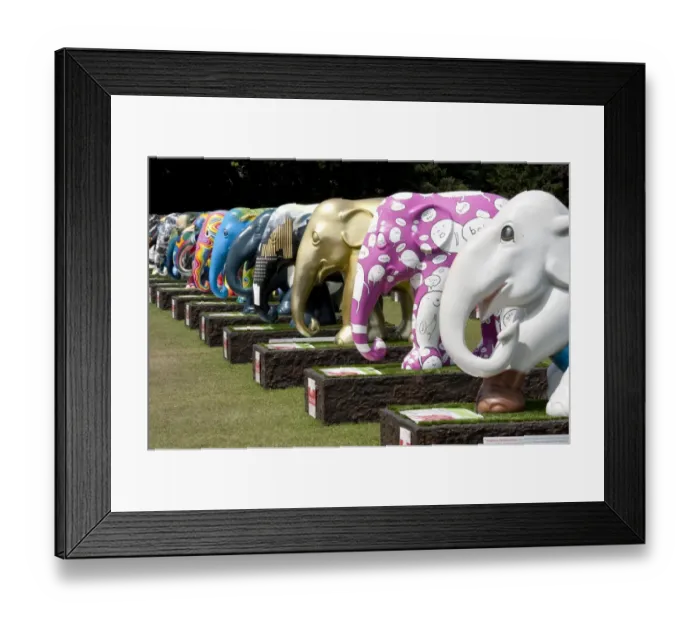 Framed Print : Elephant Parade DP094957