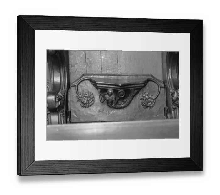 Framed Print : Mermaid a018086 Framed Print : Mermaid a018086