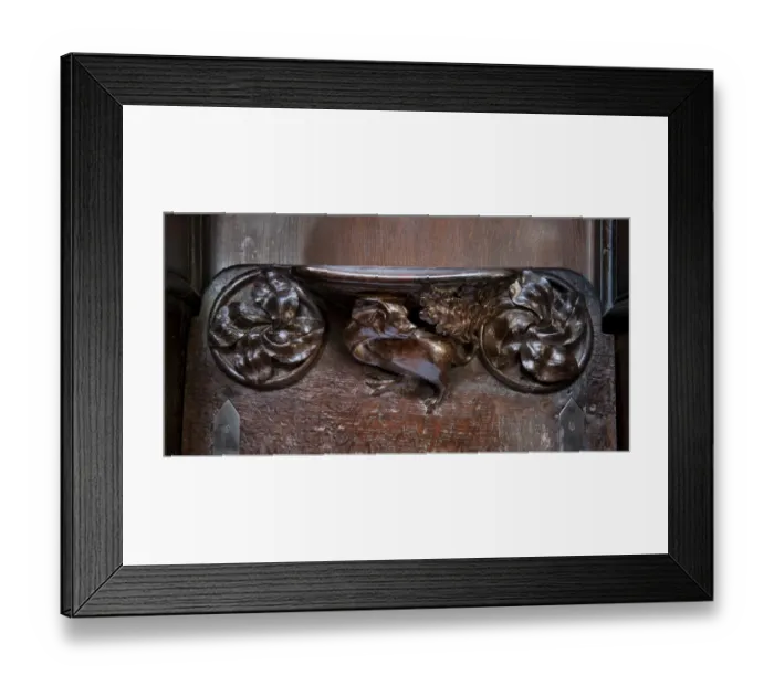 Framed Print : Mythical beast DP101592