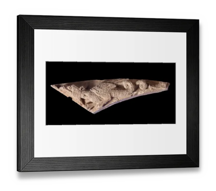 Framed Print : Dragon N090561