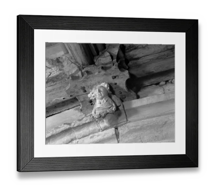 Framed Print : Lute player a101105