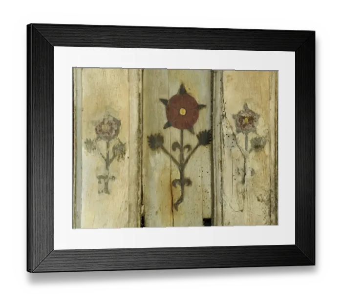 Framed Print : Painted ceiling DP029643