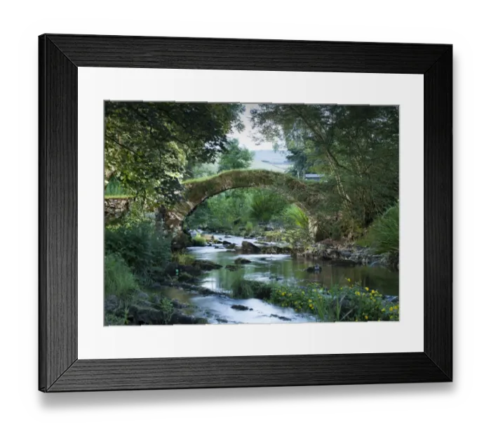 Framed Print : Packhorse Bridge DP169857