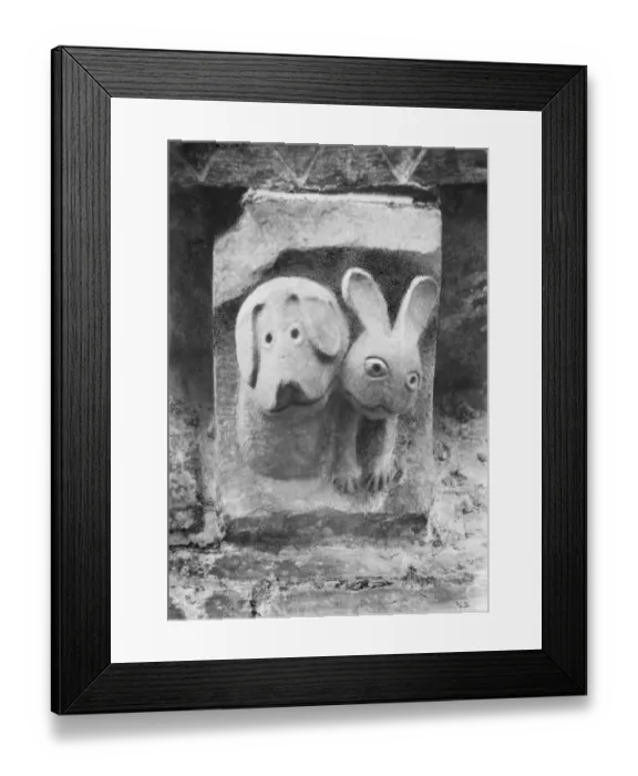 Framed Print : Hare and Hound BB67_06936 Framed Print : Hare and Hound BB67_06936