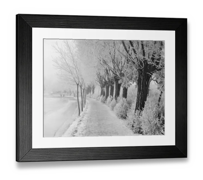 Framed Print : Rime frost CC73_00401 Framed Print : Rime frost CC73_00401
