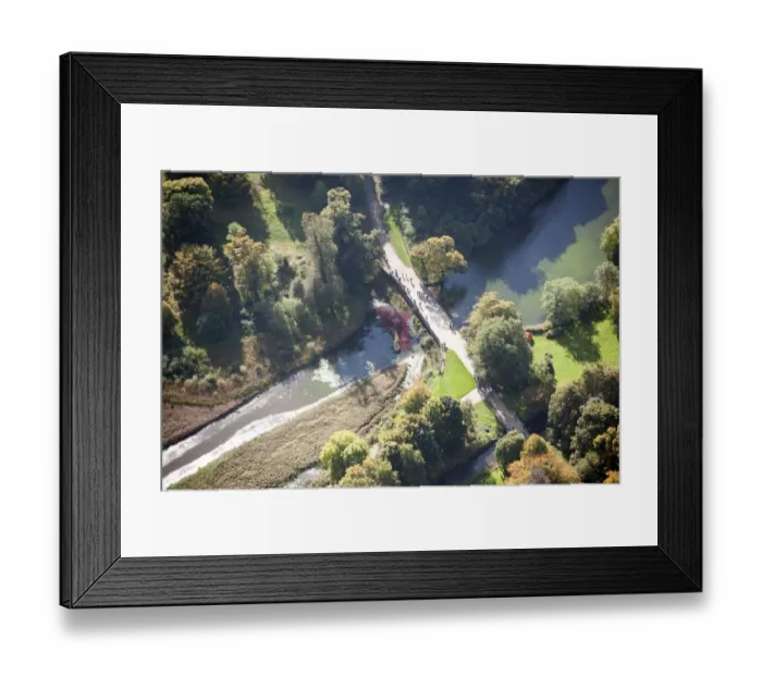 Framed Print : Poppies: Wave 28825_009