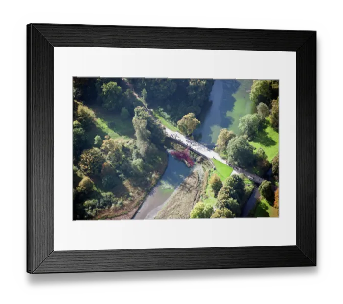 Framed Print : Poppies: Wave 28825_008