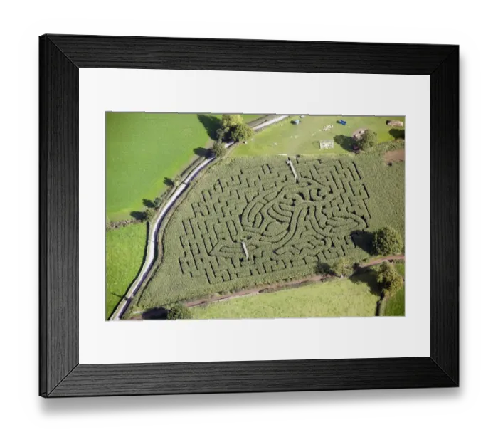 Framed Print : Maize Maze 28825_055