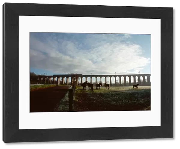 Welwyn Railway Viaduct IoE158231