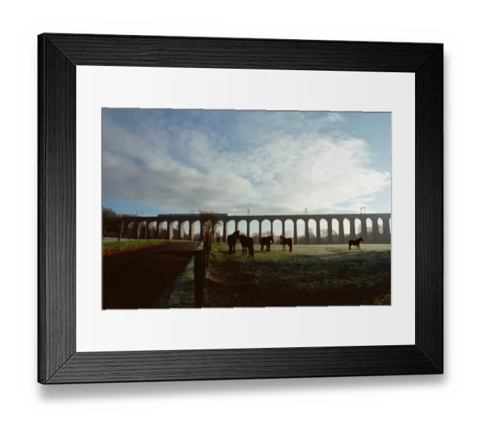 Framed Print : Welwyn Railway Viaduct IoE158231