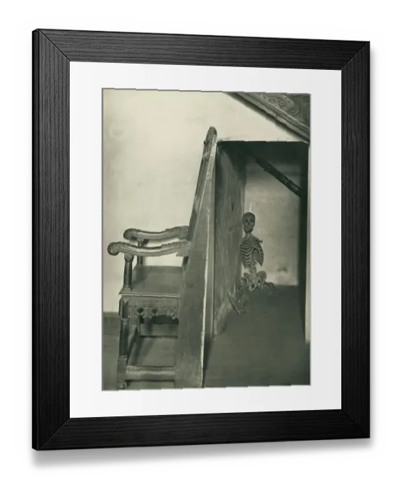 Framed Print : Skeleton in the closet OP34901 Framed Print : Skeleton in the closet OP34901