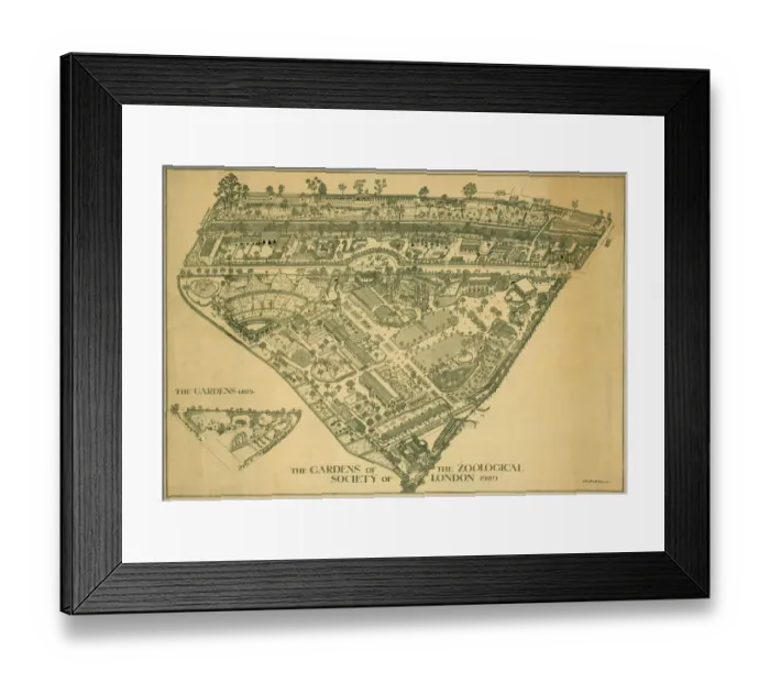 Framed Print : London Zoo 1929 MD93_07025