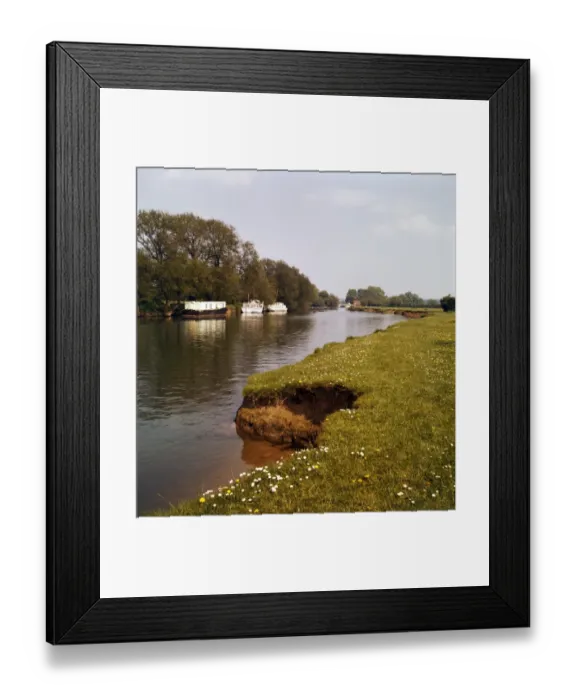 Framed Print : Riverbank FF002955