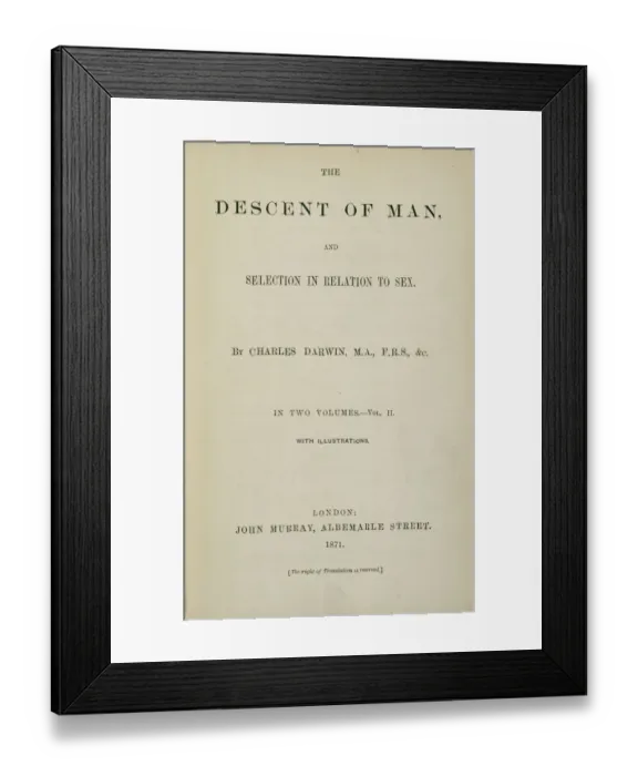 Framed Print : The Descent of Man by Charles Darwin K970312