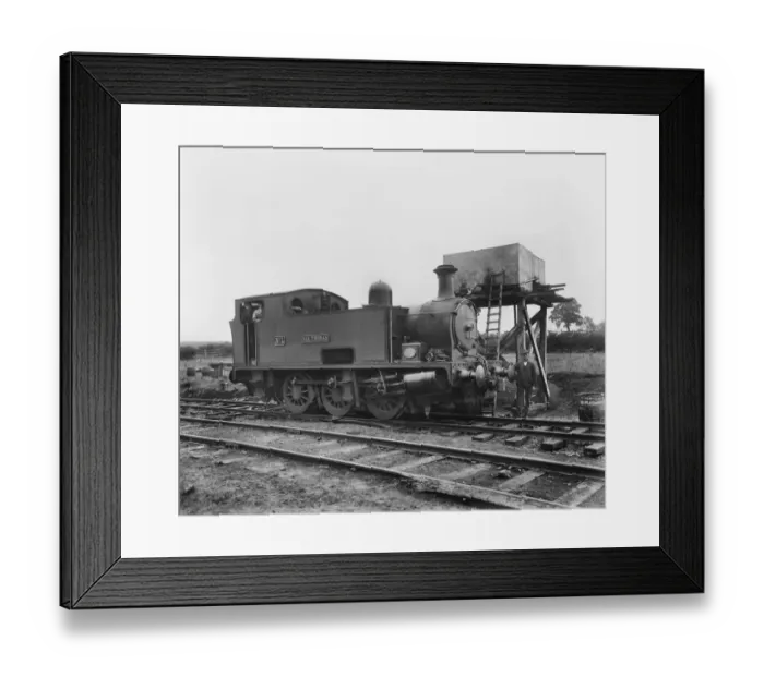 Framed Print : Sir Thomas BL24637