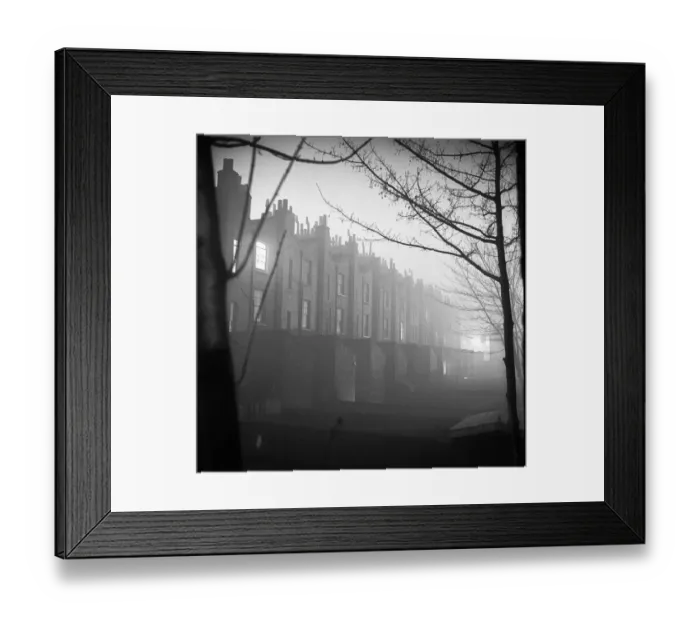 Framed Print : Misty evening a072866