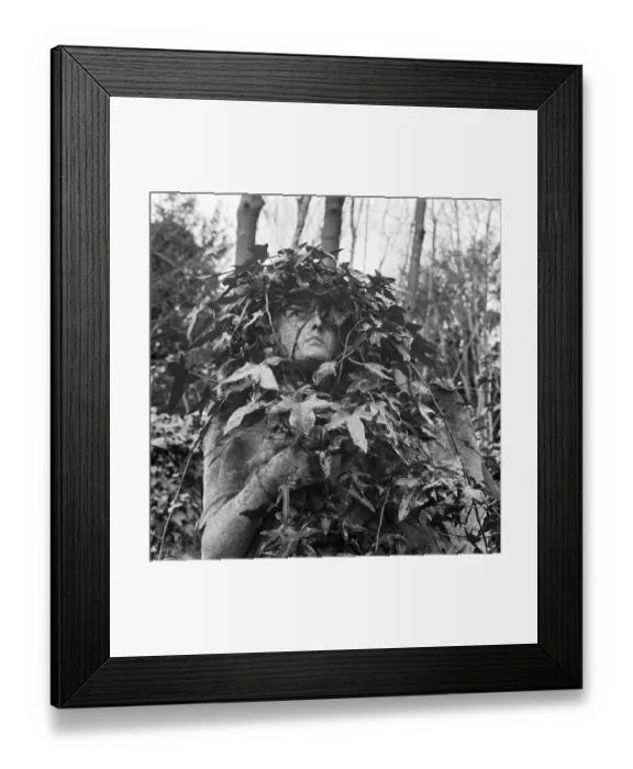 Framed Print : Highgate Cemetery a073599 Framed Print : Highgate Cemetery a073599