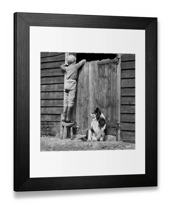 Framed Print : Child and dog a075816