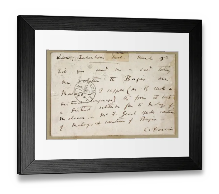 Framed Print : Postcard from Charles Darwin to A R Wallace K960212