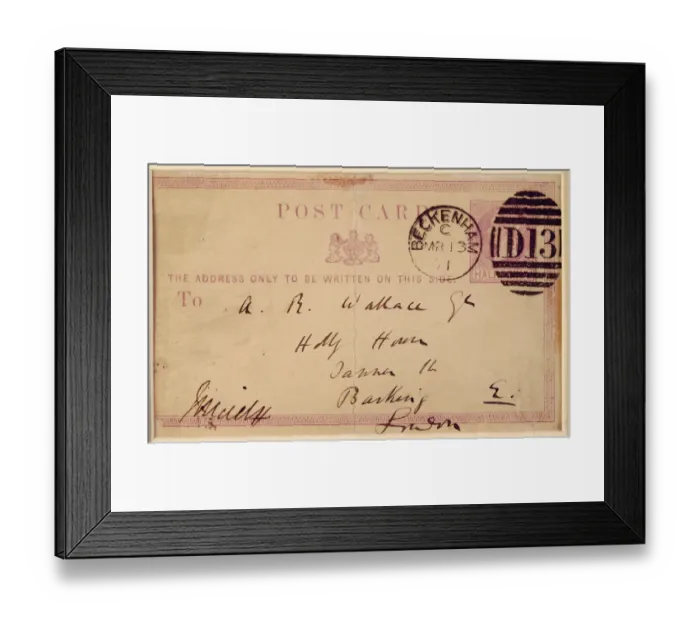 Framed Print : Postcard from Charles Darwin to A R Wallace K970337