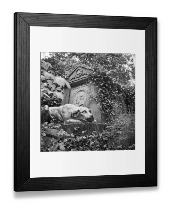 Framed Print : Highgate Cemetery a073965 Framed Print : Highgate Cemetery a073965