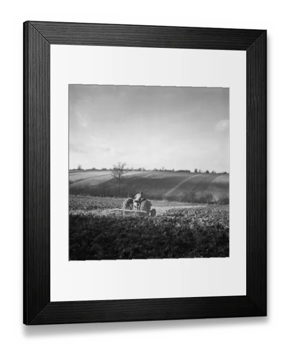 Framed Print : Ploughing a076208