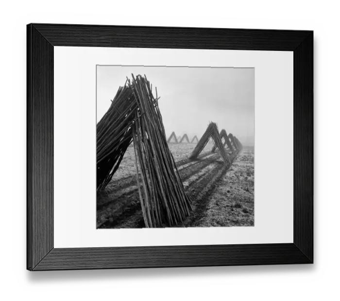 Framed Print : Hop poles a079959