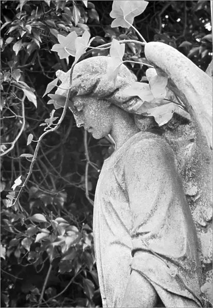 Statue of an angel a073601