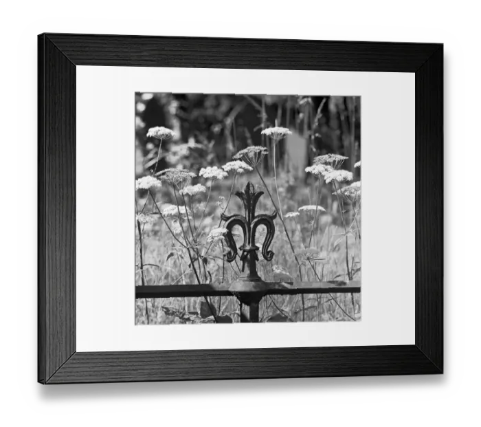 Framed Print : Highgate Cemetery a074386