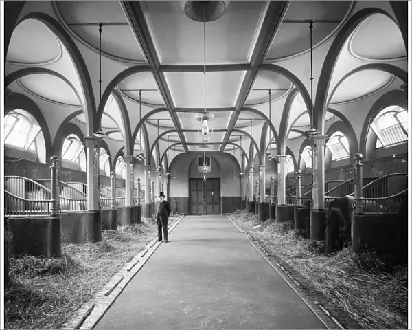 Buckingham Palace Stables BL18828_A