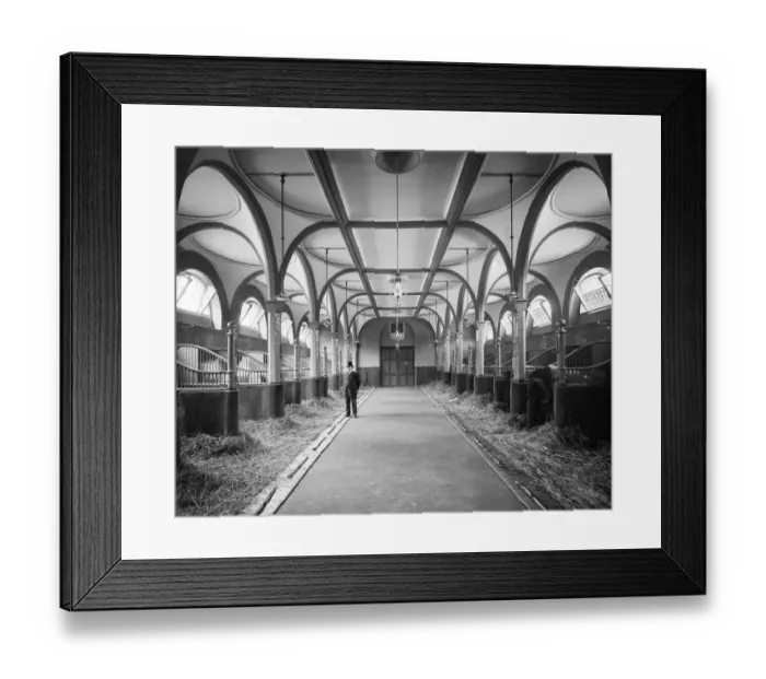 Framed Print : Buckingham Palace Stables BL18828_A