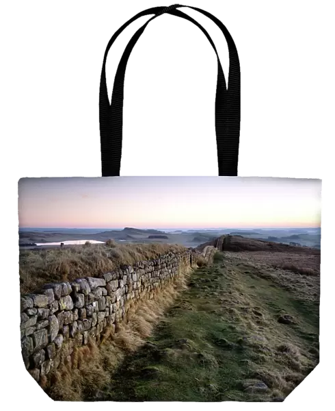 Hadrians Wall, Hotbank Crags J080009