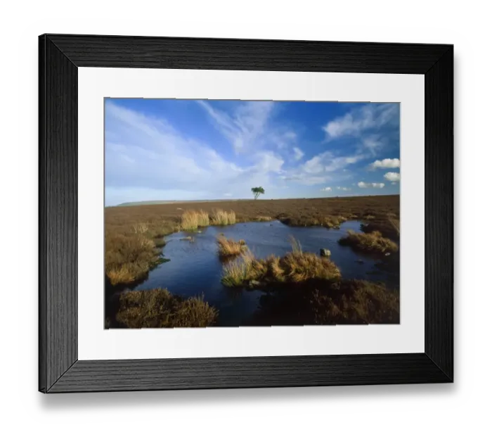 Framed Print : Egton Moor K021738 Framed Print : Egton Moor K021738