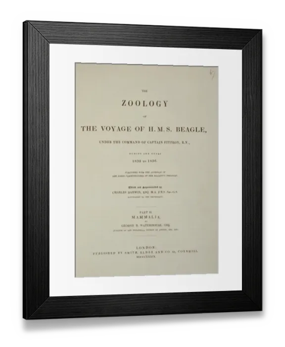 Framed Print : Zoology of the Voyage of HMS Beagle J970097